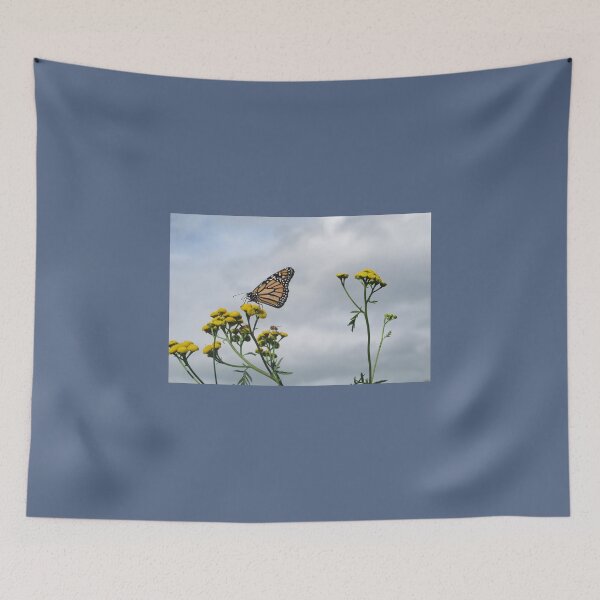Item preview, Monarch on Tansy designed and sold by coffeebean.