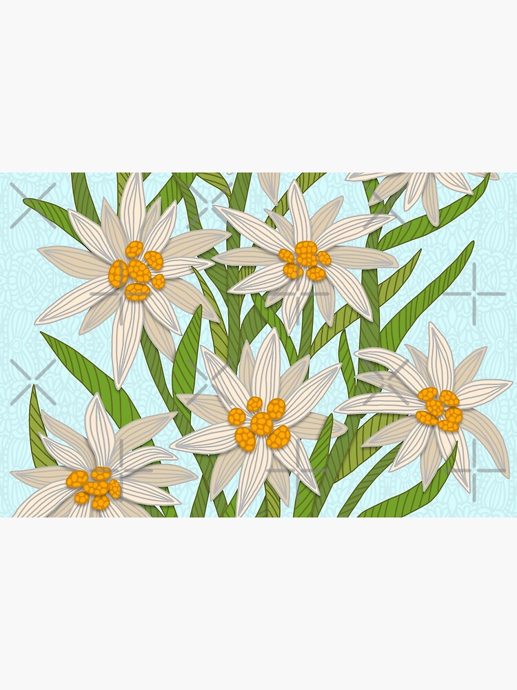 Edelweiss by artlovepassion