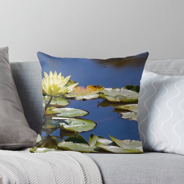 Item preview, Waterlilly at Wilson Park, Berwick , Victoria, Australia. designed and sold by johnrf.