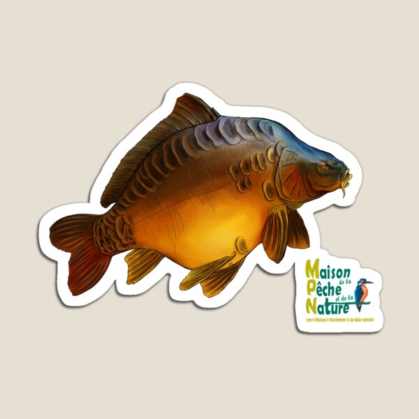 Big carpe Magnet