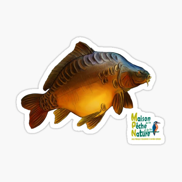 Big carpe Sticker