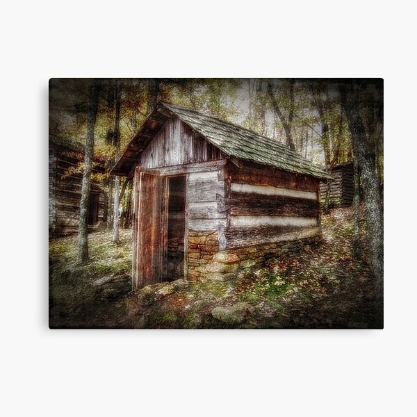 The Root Cellar Canvas Print