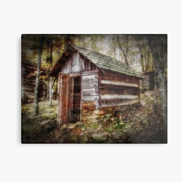 The Root Cellar Metal Print