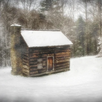 Artwork thumbnail, Snowed In by Christine Annas