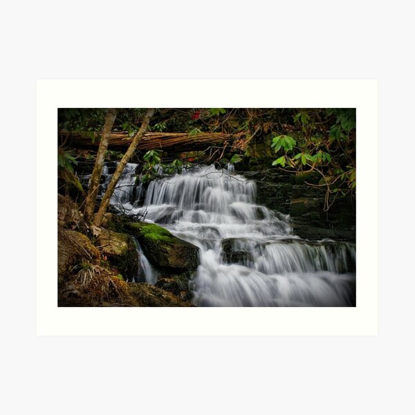 Soco Falls Art Print
