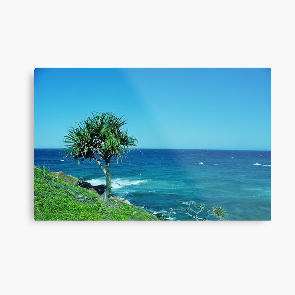 Point Arkwright Pandanus Metal Print