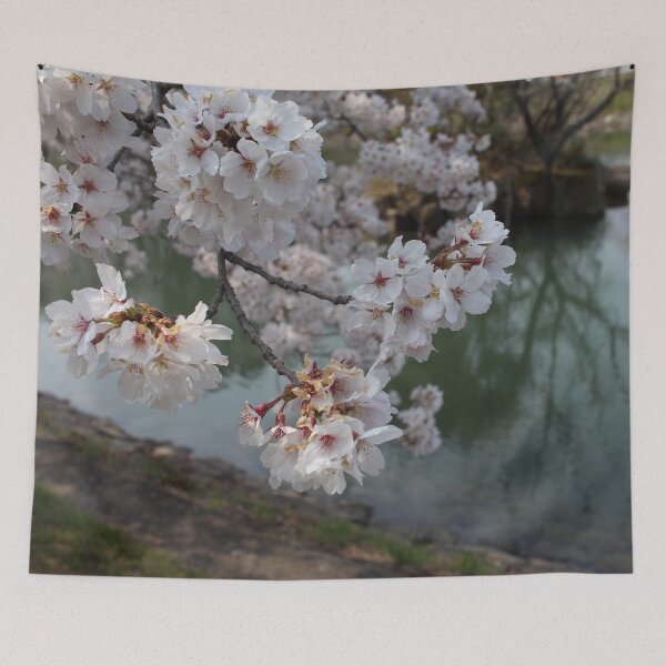 Item preview, Cherry Blossoms 24 designed and sold by Logan McCarthy.
