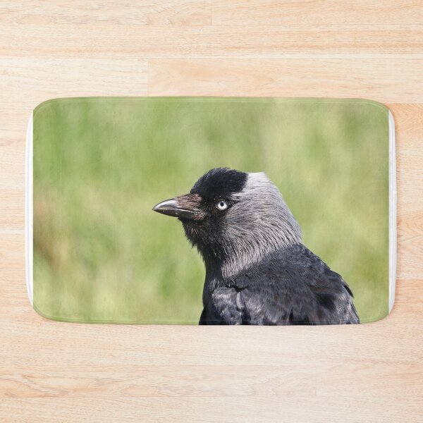 Item preview, Forlorn jackdaw designed and sold by GreyFeatherPhot.