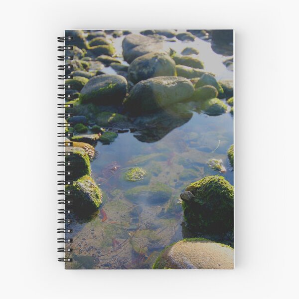 Item preview, Tide Pools designed and sold by Michaela Byrd.