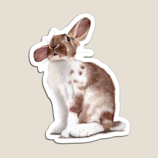 Dumbo the Flying Bunny Magnet