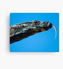 Chantilly and that tongue Canvas Print