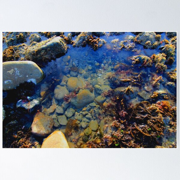 Item preview, Under the Sea designed and sold by Michaela Byrd.