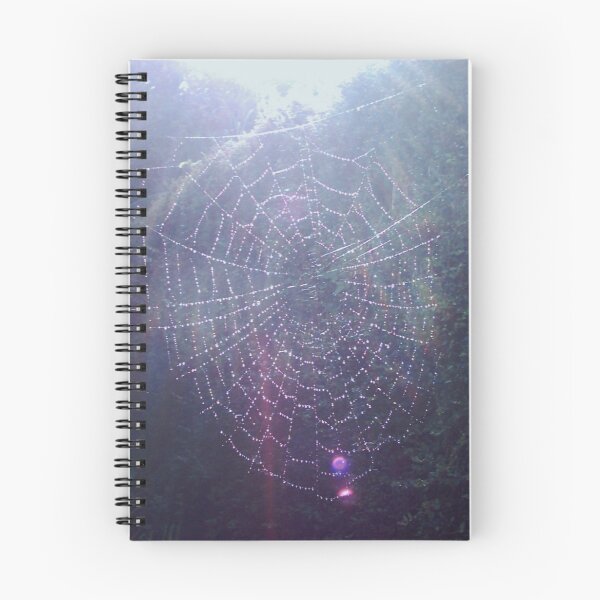 Item preview, Spider Web designed and sold by lezvee.