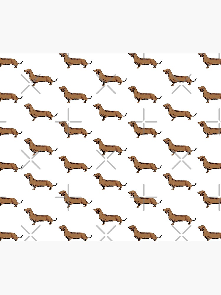 Red Smooth Haired Dachshund by tribbledesign