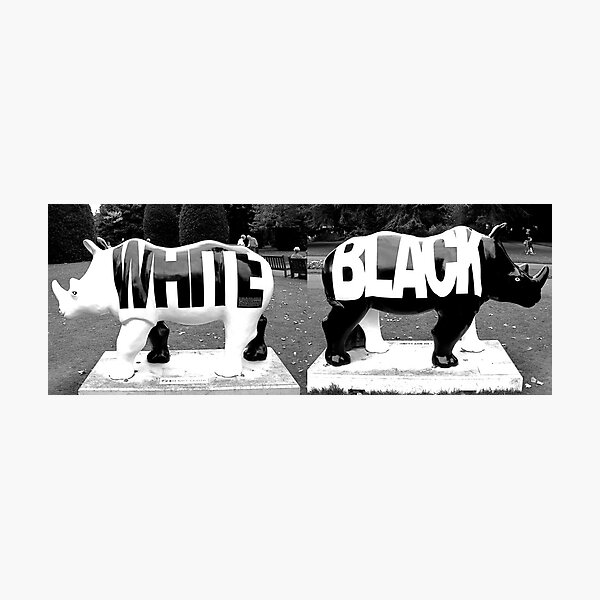 BLACK & WHITE in Black & White Photographic Print