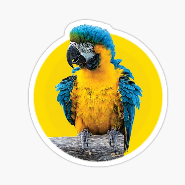 Ruffled Sticker