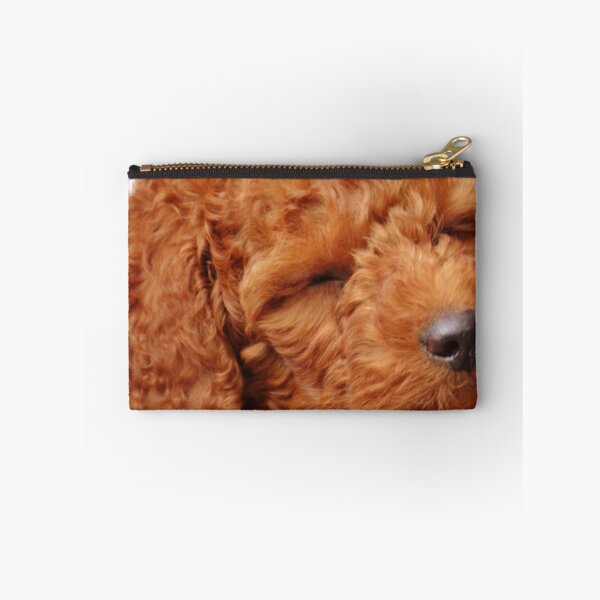 Item preview, Apricot Poodle Puppy  designed and sold by Hvll1116.