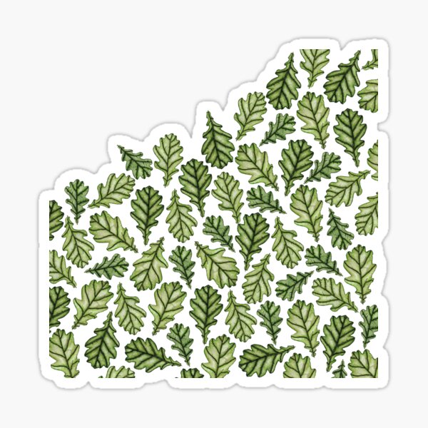 Oak leaves Sticker