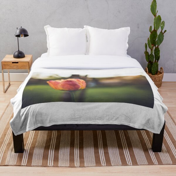 Item preview, Sunburst sunset designed and sold by AAHImages.