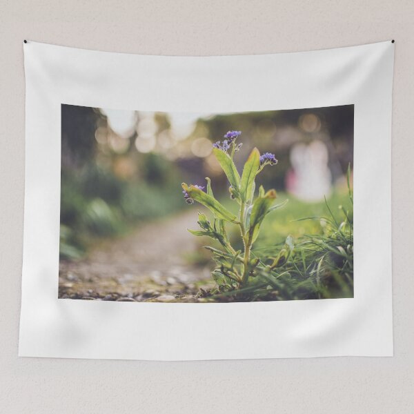 Item preview, Pathways designed and sold by AAHImages.