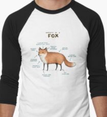 Anatomy of a Fox Men's Baseball ¾ T-Shirt