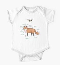 Anatomy of a Fox One Piece - Short Sleeve
