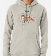 Anatomy of a Fox Pullover Hoodie
