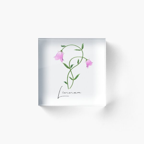 Nordic Wildflower Linnea Twinflower Pretty Pink Flowers floral Acrylic Block