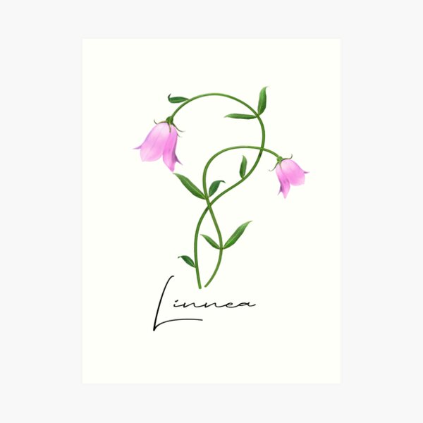 Nordic Wildflower Linnea Twinflower Pretty Pink Flowers floral Art Print