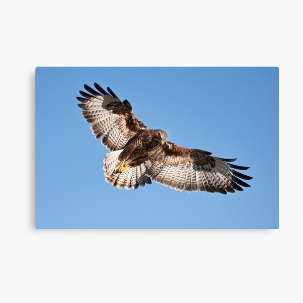 The Hunter Canvas Print