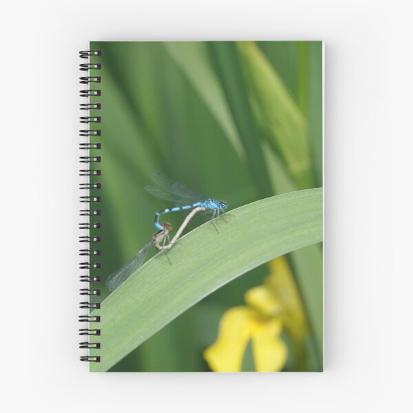 Item preview, Getting together designed and sold by frogs123.