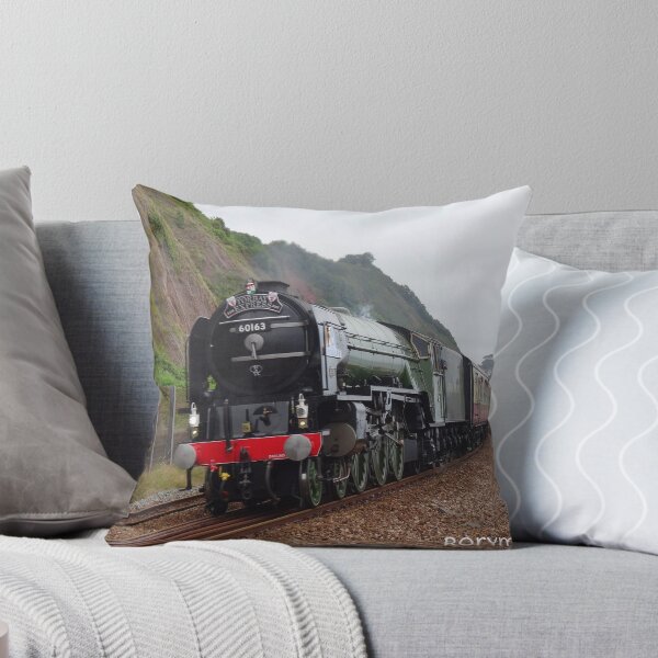 Artikelvorschau, LNER 60163 "Tornado" bei Teignmouth entworfen und verkauft von Rorymacve.