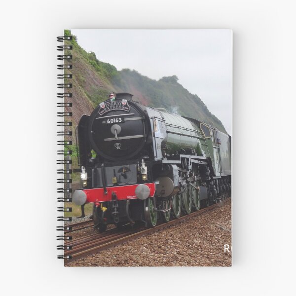 Artikelvorschau, LNER 60163 "Tornado" bei Teignmouth entworfen und verkauft von Rorymacve.