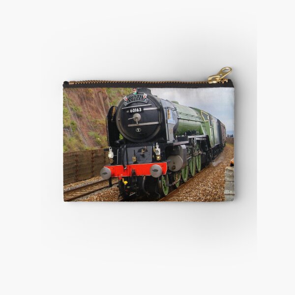 Artikelvorschau, LNER 60163 "Tornado" bei Teignmouth entworfen und verkauft von Rorymacve.