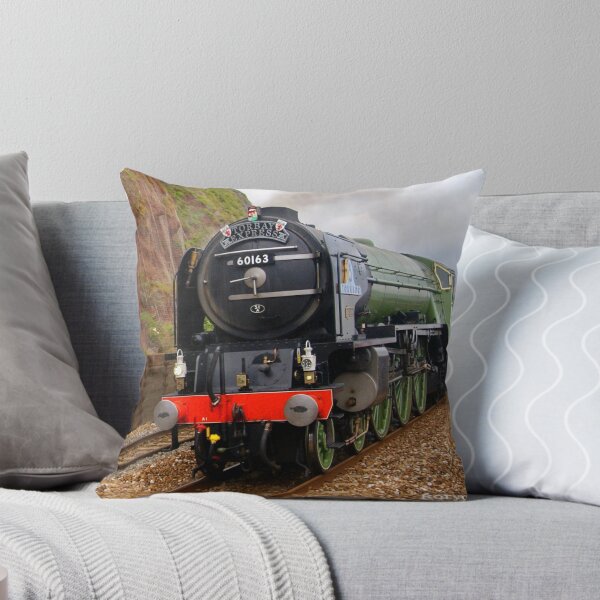 Artikelvorschau, LNER 60163 "Tornado" bei Teignmouth entworfen und verkauft von Rorymacve.
