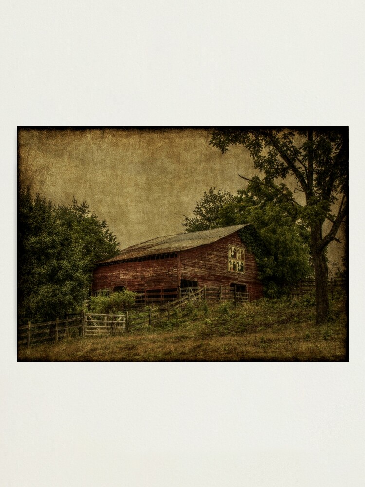 Alternate view of Bovine Babies Photographic Print