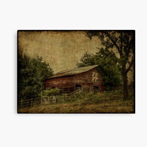 Bovine Babies Canvas Print