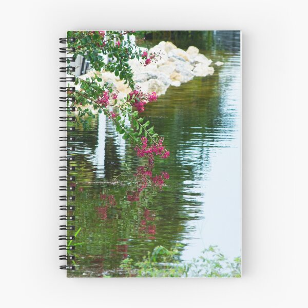 Item preview, summer reflection designed and sold by cahphotography.