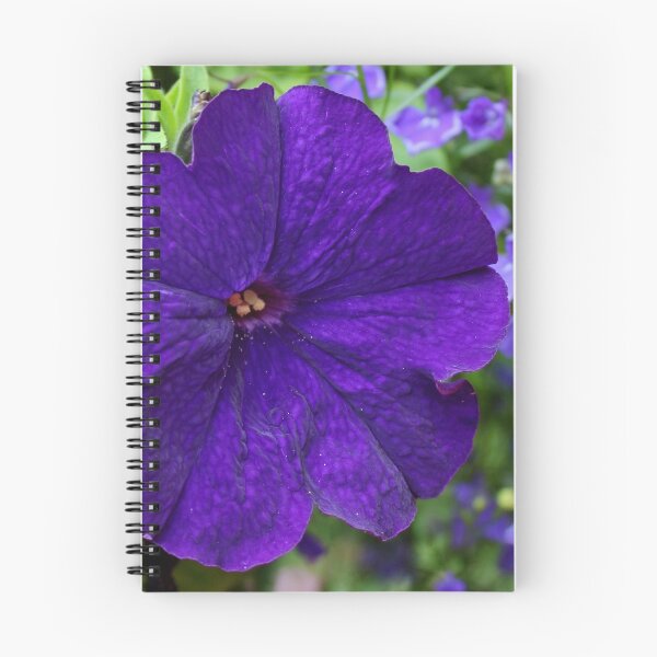 Item preview, Indigo Petunia designed and sold by AnnDixon.