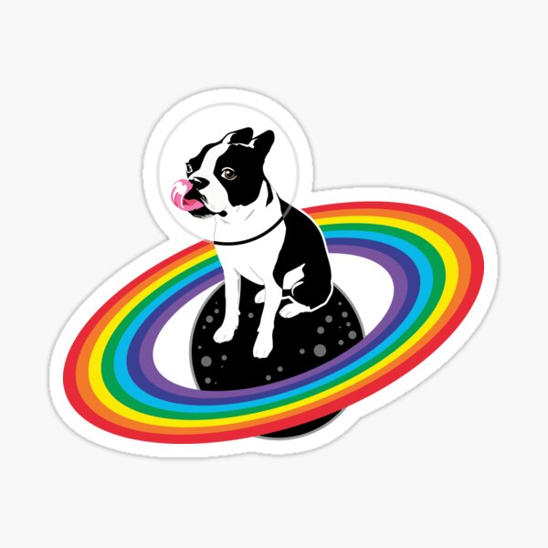Pride Pfotenabdruck wasserdichte Aufkleber für Hundemütter und Besitzer  Haltbarer wasserdichter Regenbogen-Stolz-Aufkleber Geschenk für  Hundeliebhaber - .de