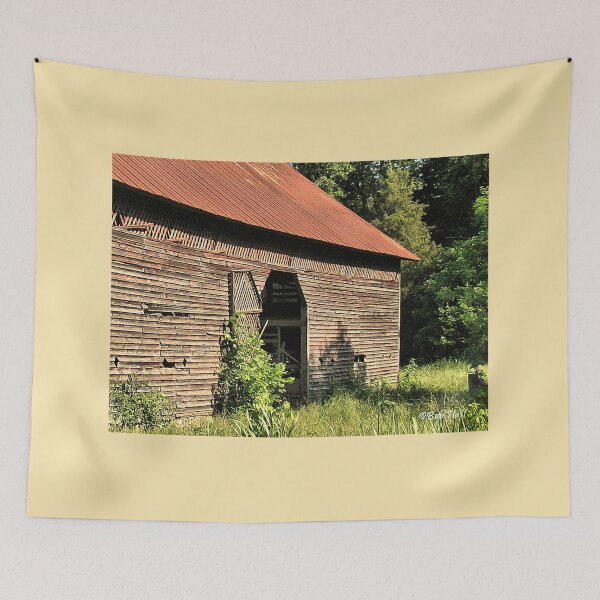 Item preview, "A Testament to Weathering the Long Hard Years," Photo for prints and products designed and sold by Bob Hall©.