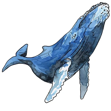 Artwork thumbnail, Whale by InkPotGraphics