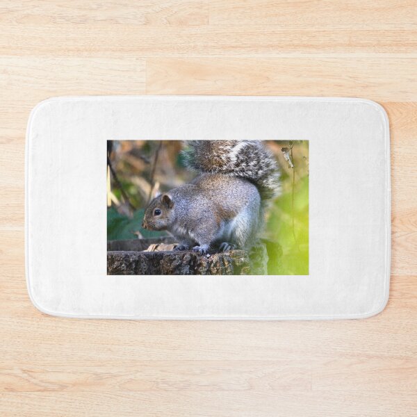 Item preview, Chubby Squirrel... designed and sold by RichImage.