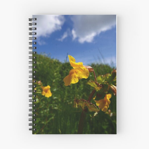 Item preview, Common Monkey-flower (Erythranthe guttatus) designed and sold by IOMWildFlowers.