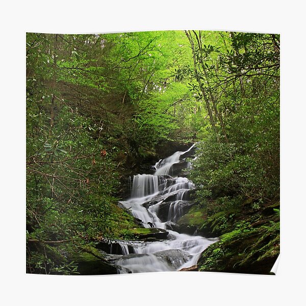Roaring Fork Falls Poster