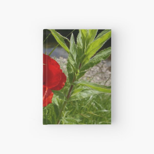 Field Poppy (Papaver rhoeas) Hardcover Journal