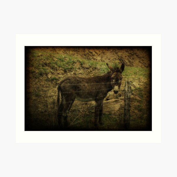 If Not For the Barbed Wire Fence Art Print