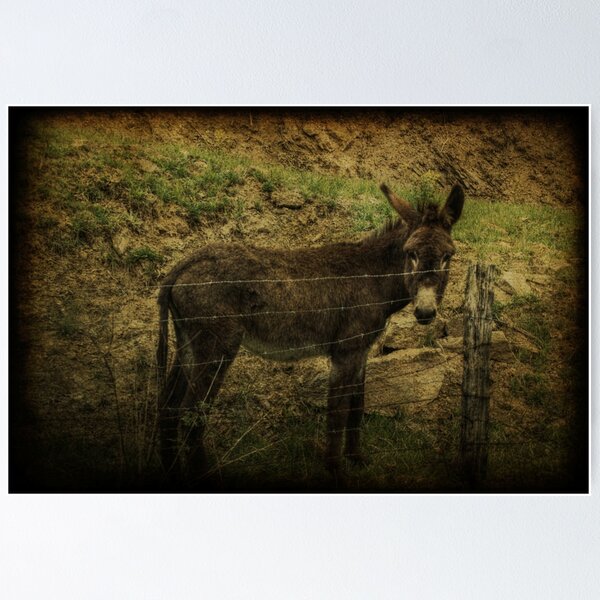 Item preview, If Not For the Barbed Wire Fence designed and sold by Christine Annas.