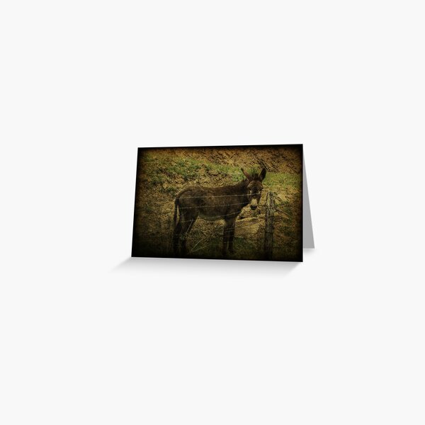 If Not For the Barbed Wire Fence Greeting Card