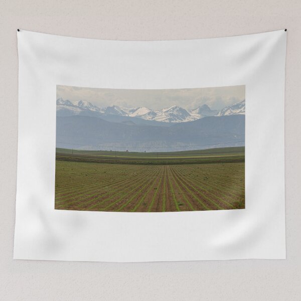 Item preview, Rocky Mountain Gravity designed and sold by Bo Insogna.